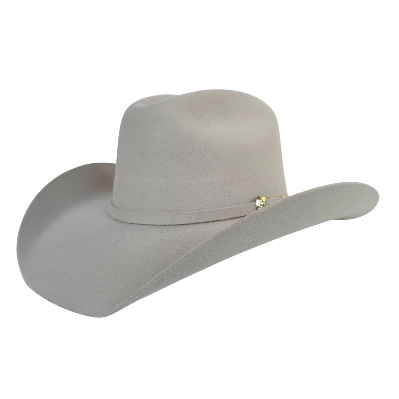 Raine Western Cowboy Crown Hat